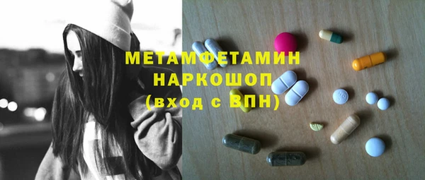 индика Аркадак