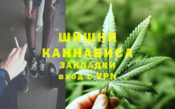 дурь Арсеньев