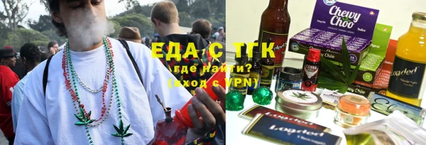 индика Аркадак
