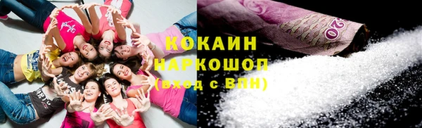 индика Аркадак