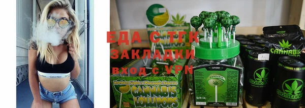индика Аркадак