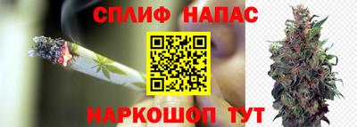 Альфа ПВП Можайск