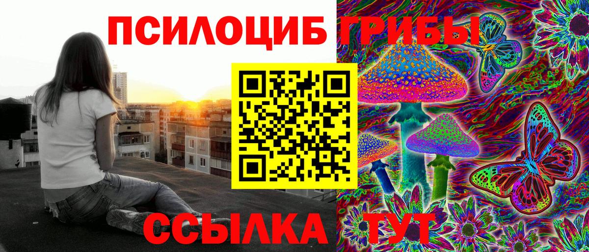 Псилоцибиновые грибы Cubensis  Вход с VPN  Кировск 