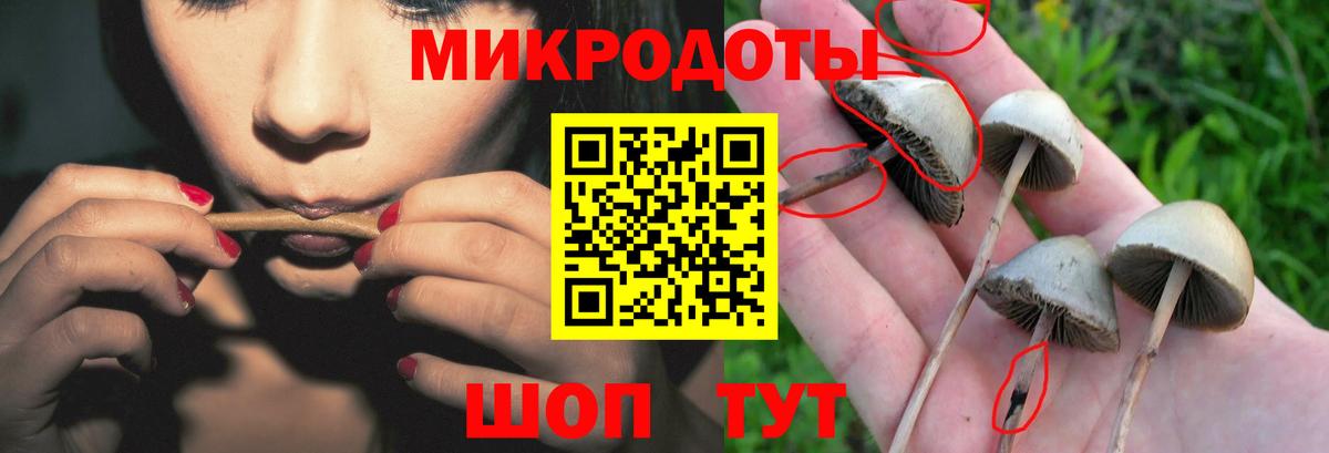 Псилоцибиновые грибы прущие грибы Кировск